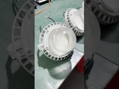 산업용 하이베이 라이트 워크샵 가솔린 스탠스 공장 50w 100w 150w LED 폭발 방지 조명 방지