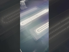 IP66 ATEX 폭발 방지 선형 빛 산업용 50w 100w 200w