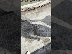 AC85-310V/AC100-277V 130-140LM/W 야외 LED 거리 조명 도로 정원, 광장