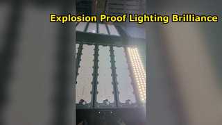 Ip66 방수 신발장 정원 도로 조명 알루미늄 200w 300w 400w 500w Led 가로등 데모