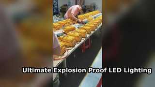 ATEX 승인 IP65 방수 LED 투광램프(위험 지역용 강화 유리 포함)