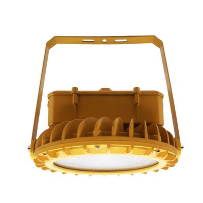 30W 천장에 장착된 IP66 폭발 방지 조명