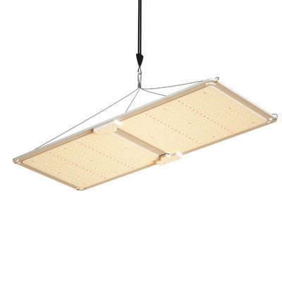 200W 풀 스펙트럼 디메이블 LED 성장 라이트 T5 식물의 성장을 위한 온실 조명 시스템