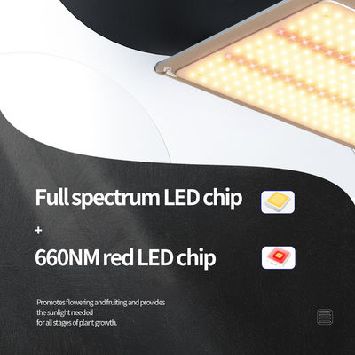 200W 풀 스펙트럼 디메이블 LED 성장 라이트 T5 식물의 성장을 위한 온실 조명 시스템