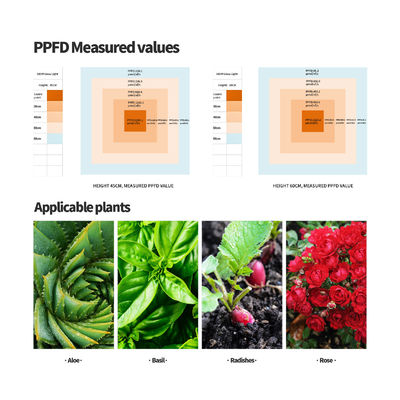 최적의 식물 성장을 위한 디밍 기능이 있는 600W 풀 스펙트럼 LED 성장 조명