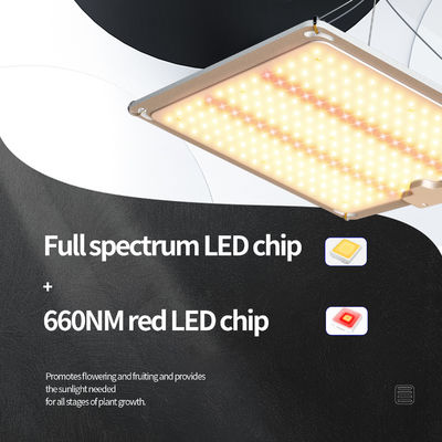 최적의 식물 성장을 위한 디밍 기능이 있는 600W 풀 스펙트럼 LED 성장 조명