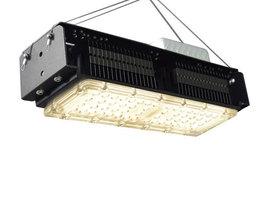 AC85V-265V 실내 Led Grow Lights 집 식물을위한 50W