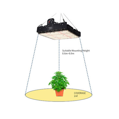 전체 스펙트럼 T5 LED 성장 빛 실내 식물 250w