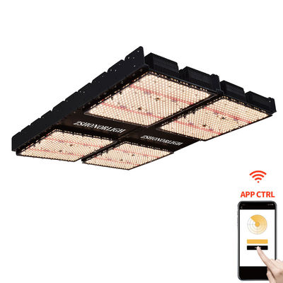 1000W 실내 식물 조명 4x4 성장 빛