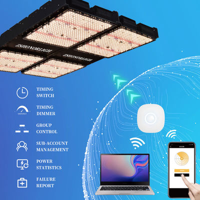 타이머 컨트롤을 가진 실내 식물용 1000W 풀 스펙트럼 디밍 가능한 LED 성장 조명