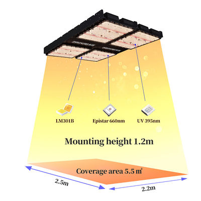 타이머 컨트롤을 가진 실내 식물용 1000W 풀 스펙트럼 디밍 가능한 LED 성장 조명