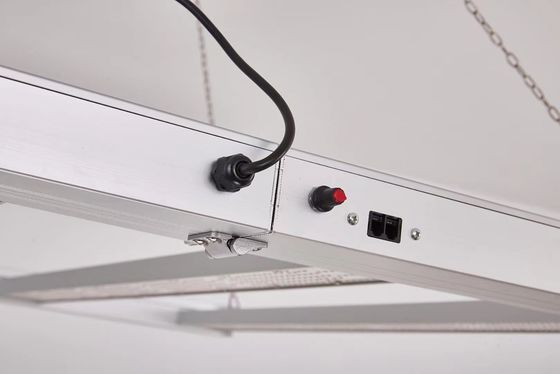 800W 전체 스펙트럼 LED 성장 조명 IP65 상업 식물 성장을위한 방수