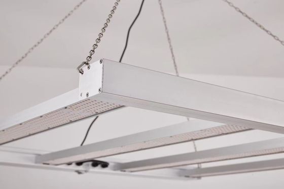 상업용 식물 재배용 접이식 600W 풀 스펙트럼 LED 성장 조명