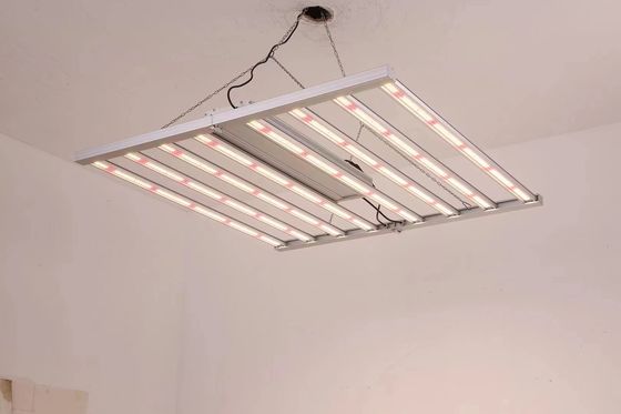 800W 전체 스펙트럼 LED 성장 조명 IP65 상업 식물 성장을위한 방수