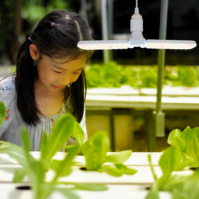 실내 식물 성장을 위한 풀 스펙트럼 + 660nm 및 IP68 방수 기능을 갖춘 소형 LED 성장 조명