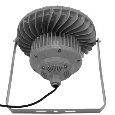 IP65 방수성 폭발성 LED 홍수등 50W 100W 150W 알루미늄 및 온화 유리 구조
