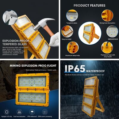 구역 1 구역 2 300W LED 폭발 방지 홍수등 LUMILEDS LM-80 ATEX IIb T6 가스 먼지 IP65 위험 지역 장착
