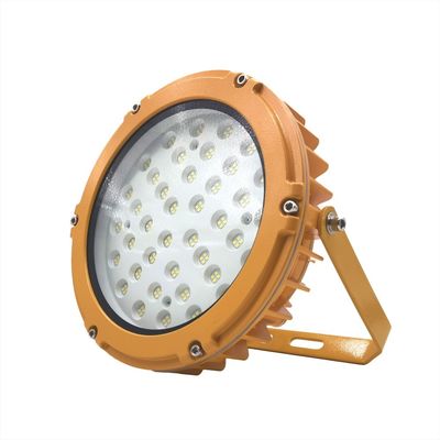 100W LED 폭발 방지 조명 램프 10000Lm OEM