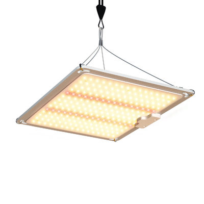 600W HPS 4x4 성장 빛 식물 램프 꽃 피고 과일을 촉진