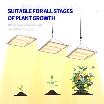 600W HPS 4x4 성장 빛 식물 램프 꽃 피고 과일을 촉진