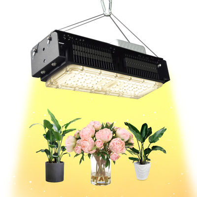 AC85V-265V 실내 Led Grow Lights 집 식물을위한 50W