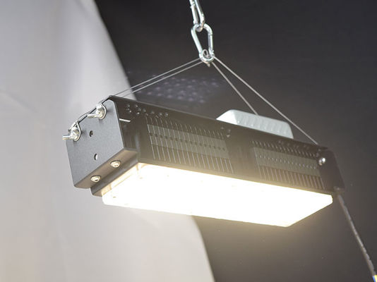 AC85V-265V 실내 Led Grow Lights 집 식물을위한 50W