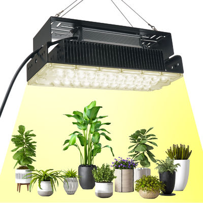 100w 실내 5x5 성장 빛 실내 정원 수풀 식물 SMD3030