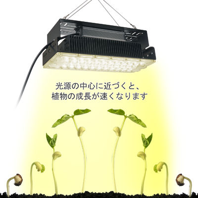 100w 실내 5x5 성장 빛 실내 정원 수풀 식물 SMD3030