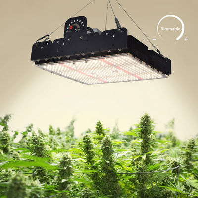 전체 스펙트럼 T5 LED 성장 빛 실내 식물 250w