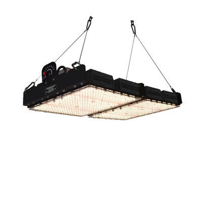 PPFD 읽기 Led 성장 빛 램프 실내 식물 NR 스펙트럼