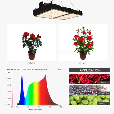 PPFD 읽기 Led 성장 빛 램프 실내 식물 NR 스펙트럼