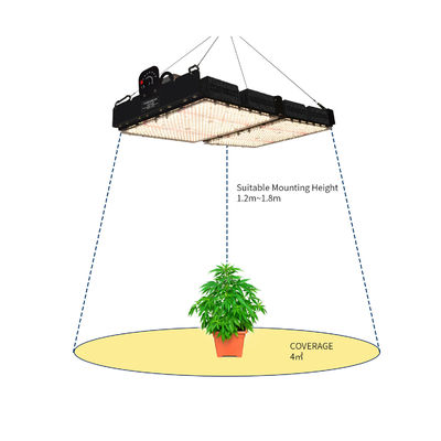 PPFD 읽기 Led 성장 빛 램프 실내 식물 NR 스펙트럼