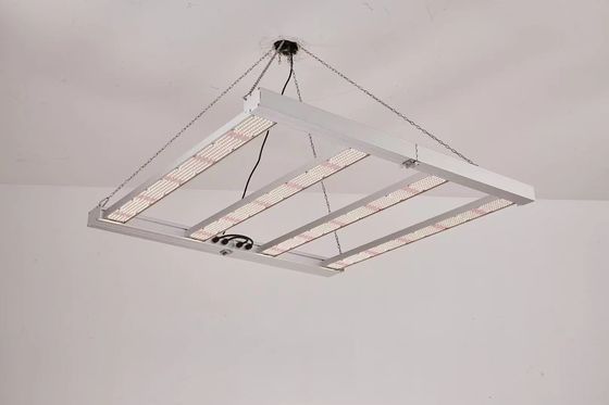 폴더블 4T LED 성장 라이트 600W 800W 상업용