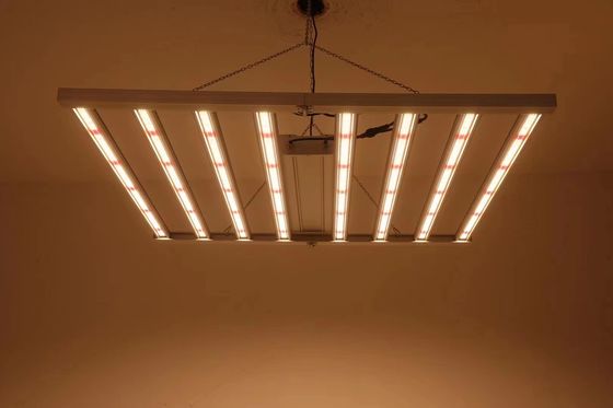 폴더블 8T 온실 성장 조명 800W 1000w Hps